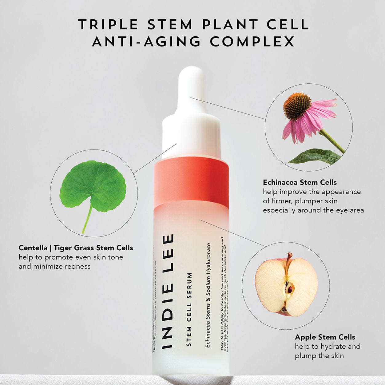 Indie Lee Stem Cell Serum