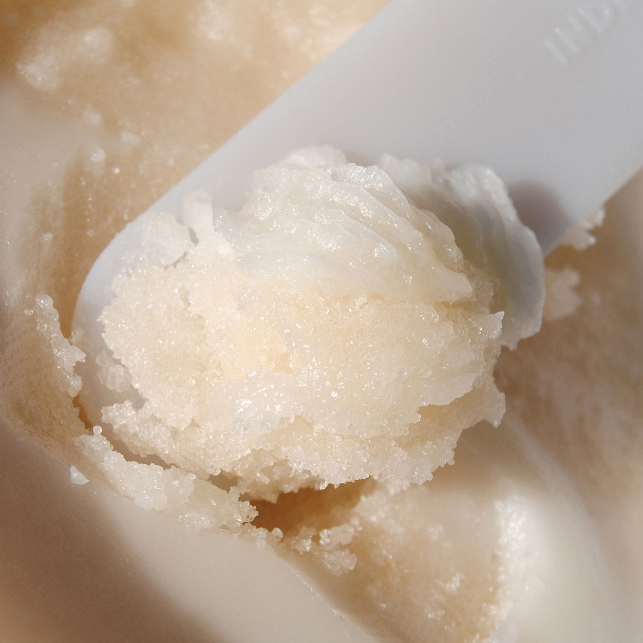 Indie Lee Coconut Citrus Body Scrub