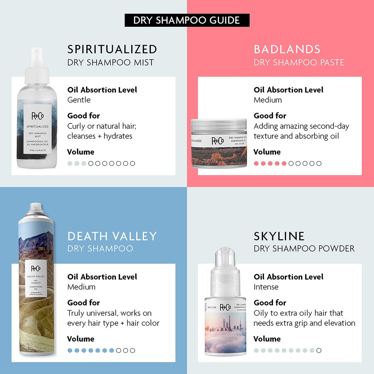 R+co Spiritualized Dry Shampoo Mist