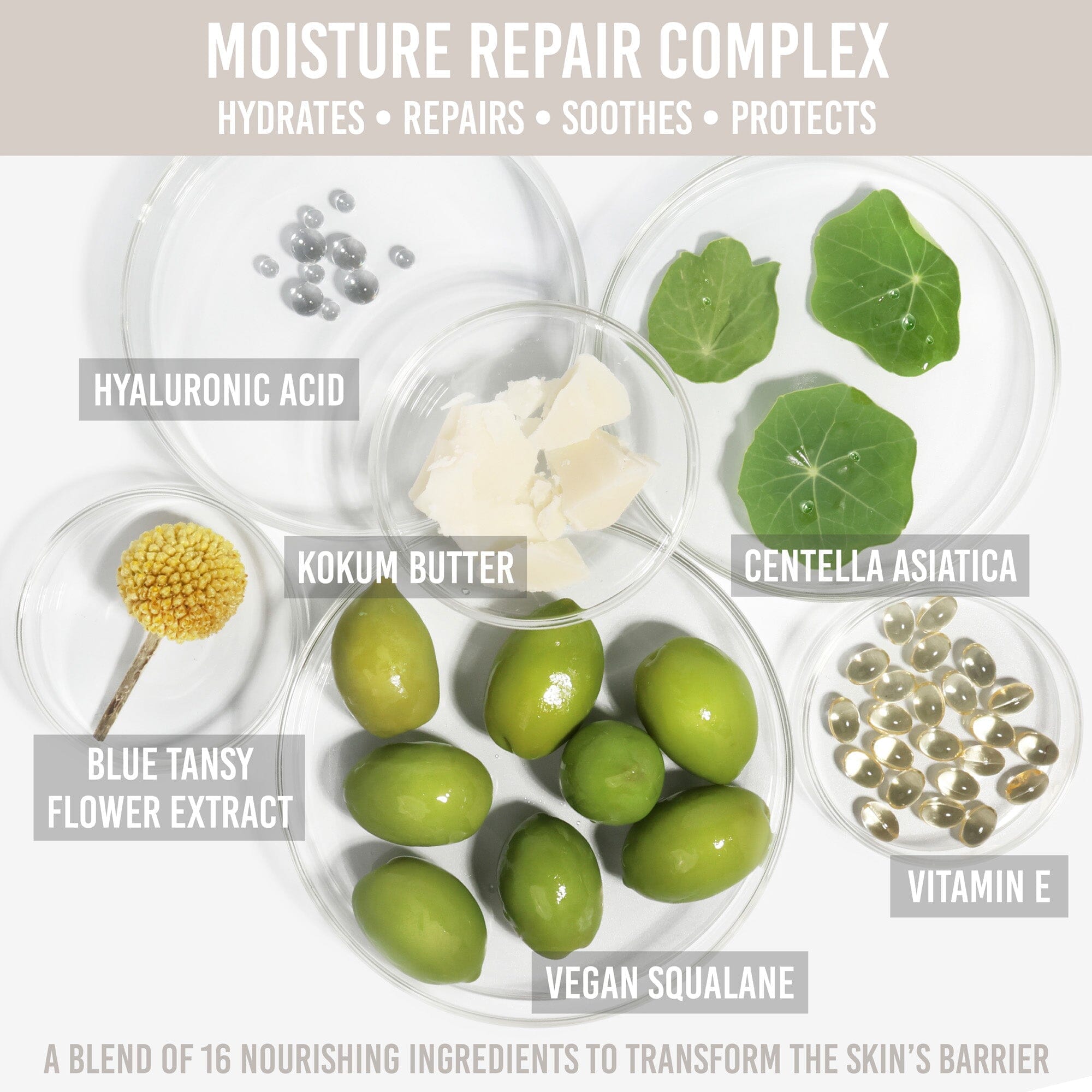 SKIN Yummy Skin Moisture Repair Balm Serum