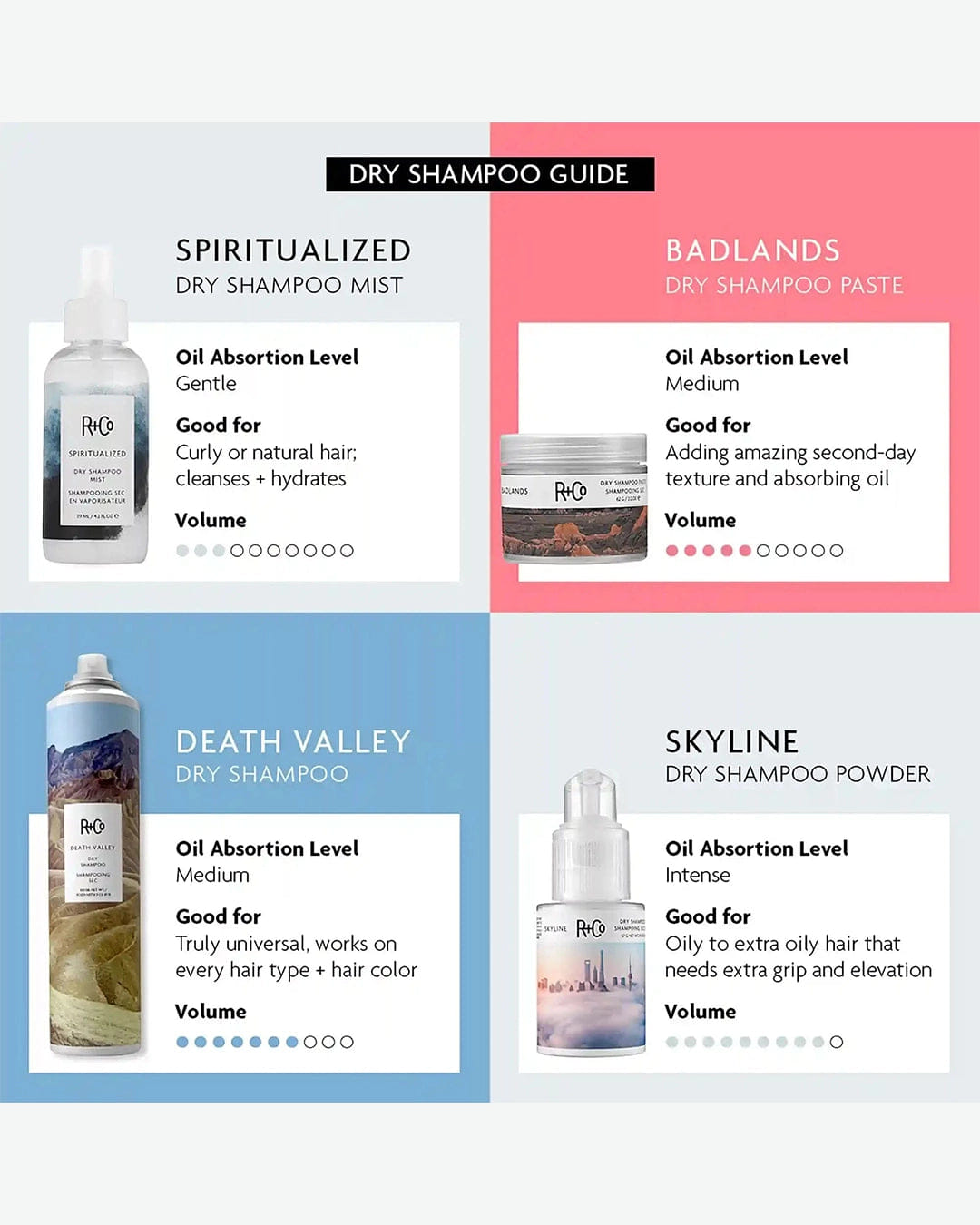 R+CO Badlands Dry Shampoo Paste