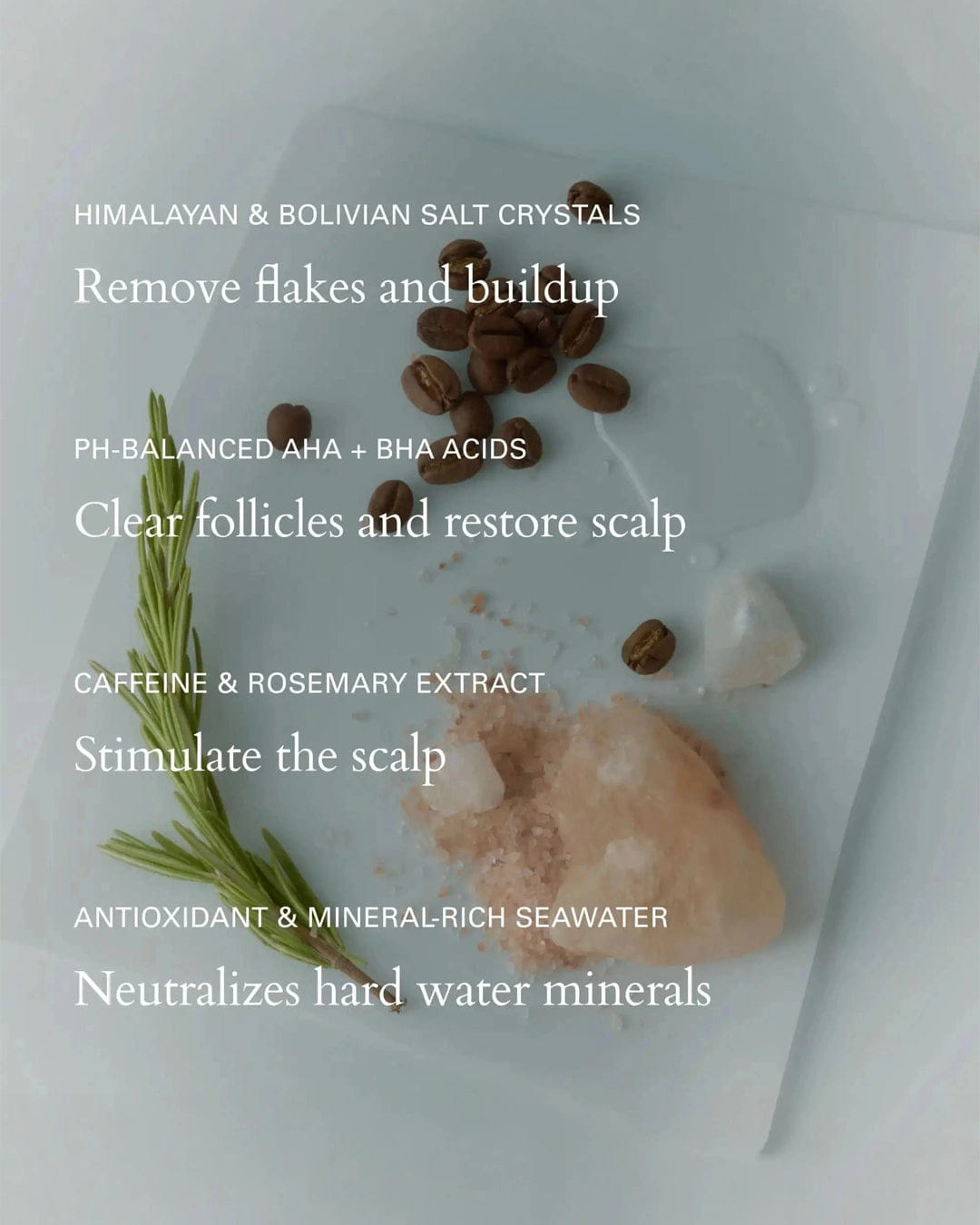 ROZ Salt Scalp Scrub Exfoliating Shampoo