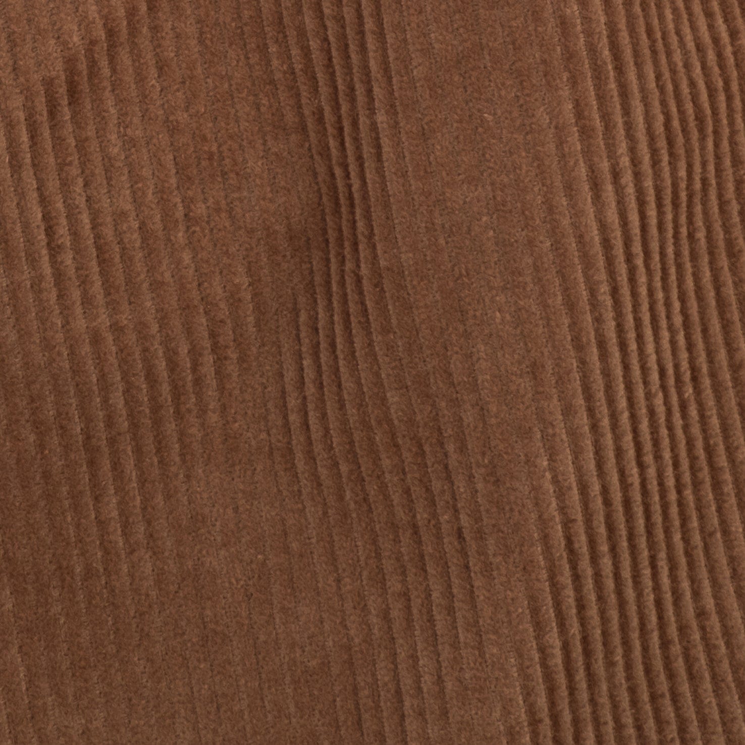 Corduroy amongst few - Corduroy Shorts (Brown)