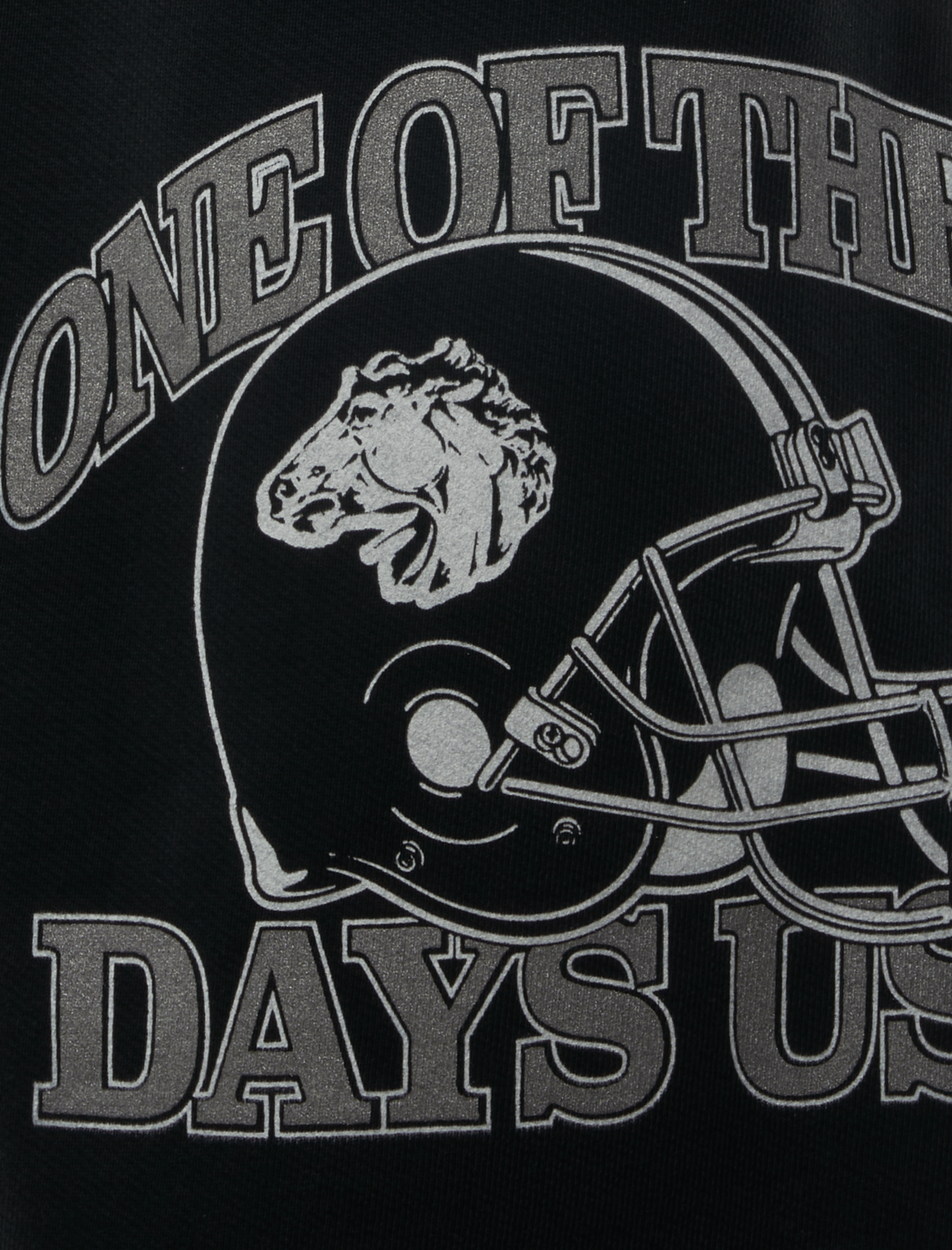 ONE of THESE DAYS DAYS USA SWEATSHORT