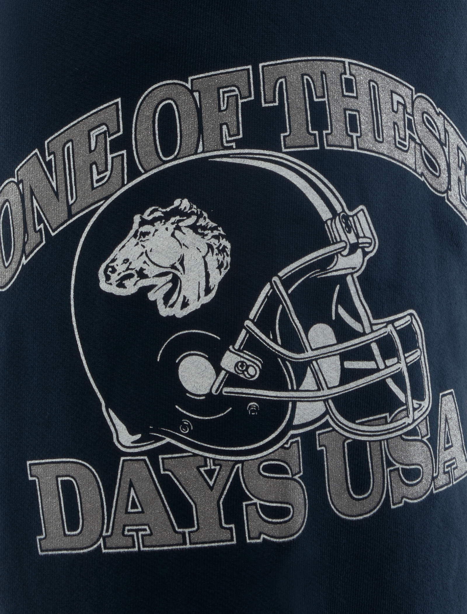 ONE of THESE DAYS DAYS USA SWEATPANT