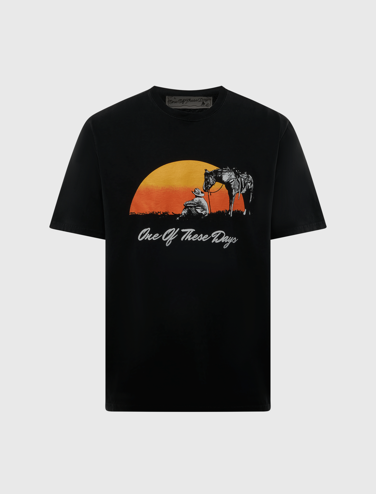 ONE of THESE DAYS COULD ONLY REMEMBER T - SHIRT