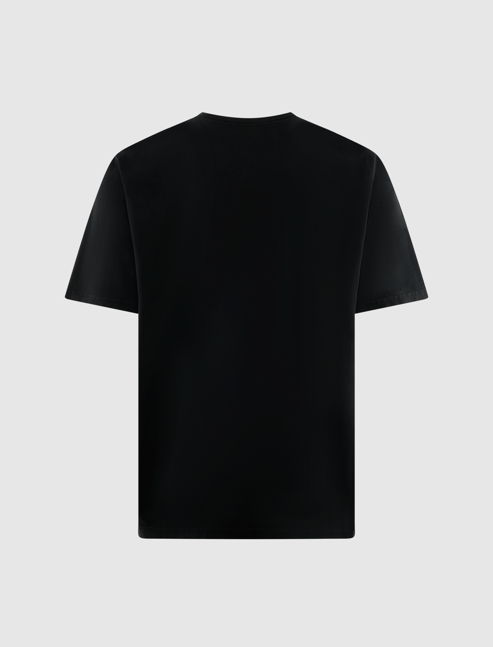 ONE of THESE DAYS COULD ONLY REMEMBER T - SHIRT