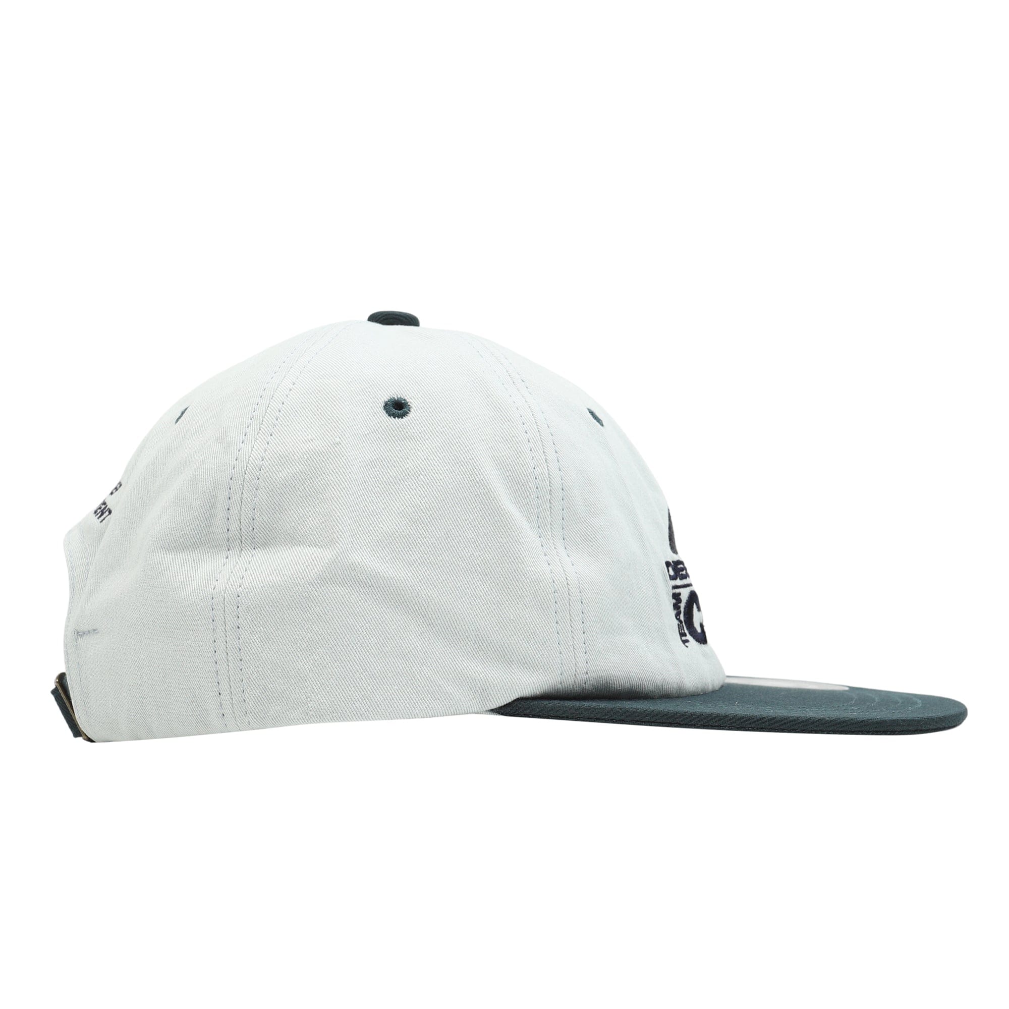 Descendant Cetus 6 Panel Hat - Green