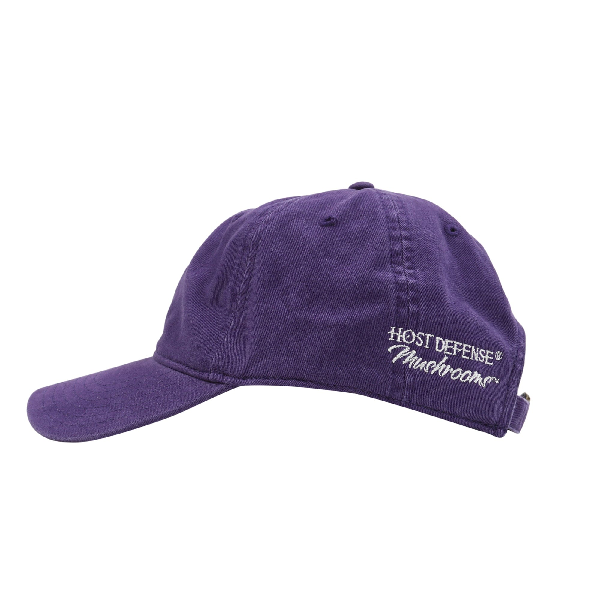 Online Ceramics Fungi Perfecti Hat - Purple