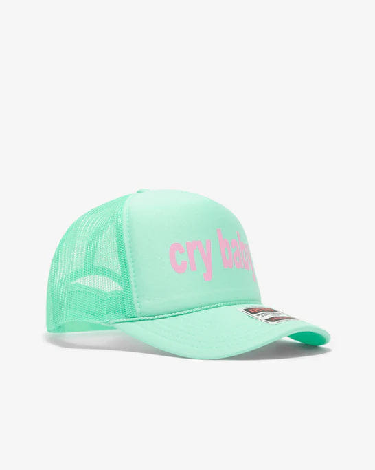 Ashley Williams Caps