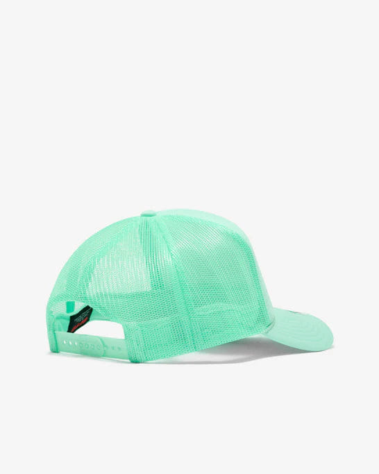 Ashley Williams Caps