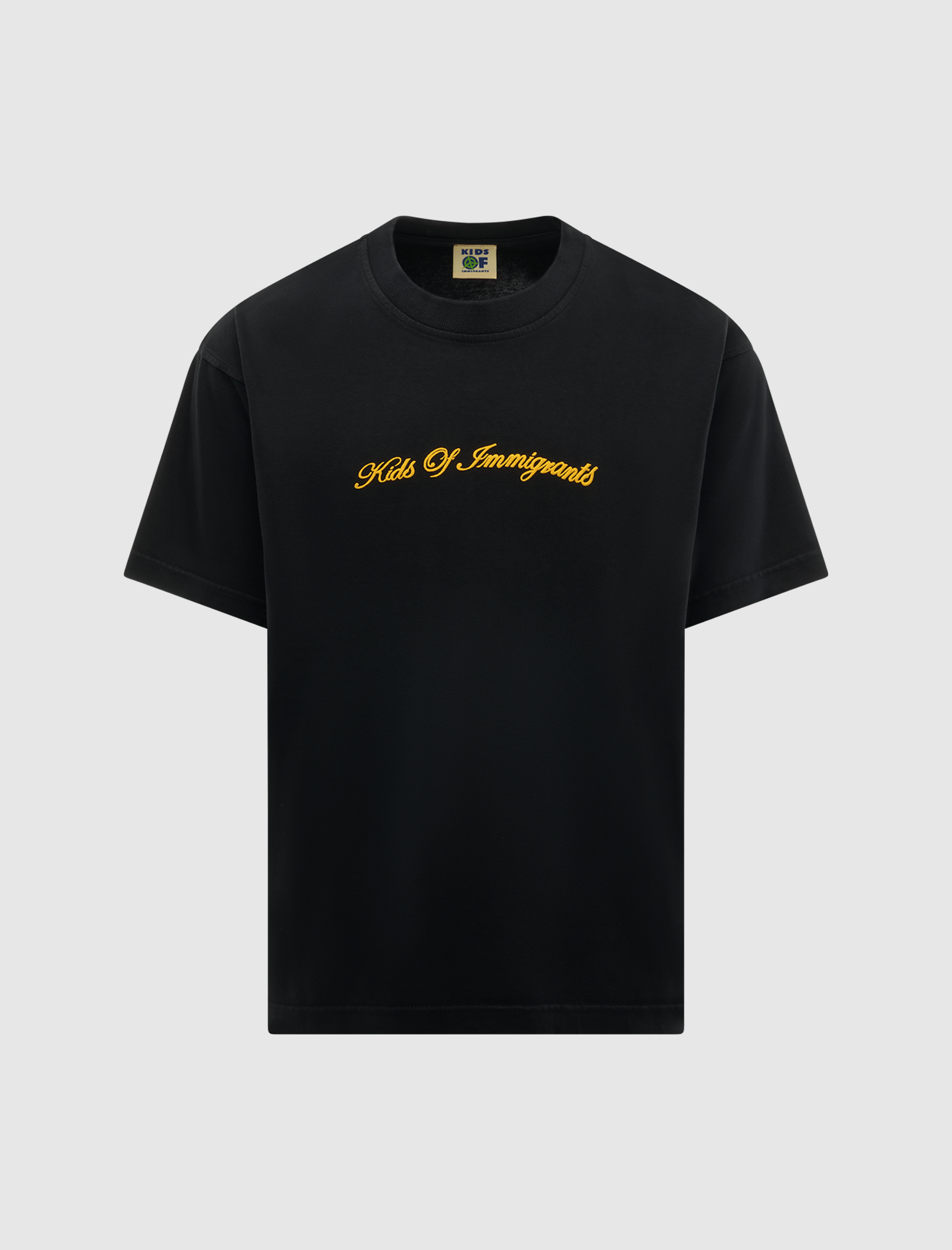 KIDS of Immigrants HERE TO STAY T-Shirt