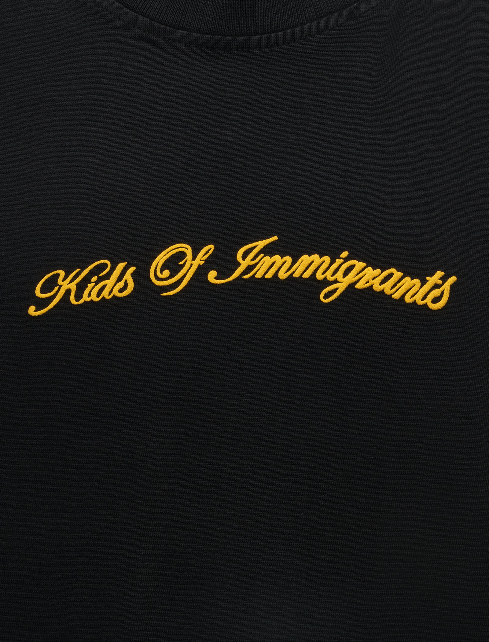 KIDS of Immigrants HERE TO STAY T-Shirt