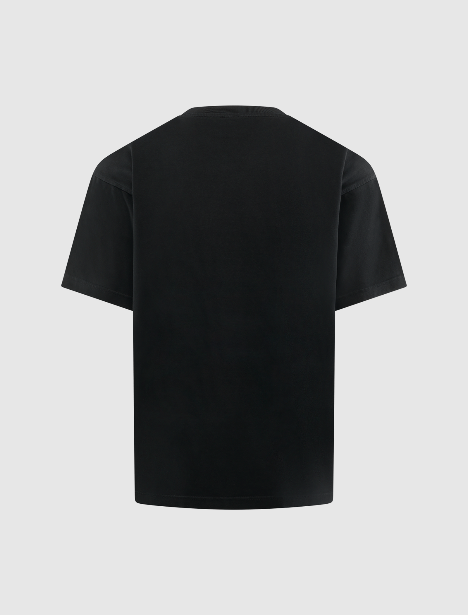 KIDS of Immigrants IMMIGRANTS DREAM T-Shirt