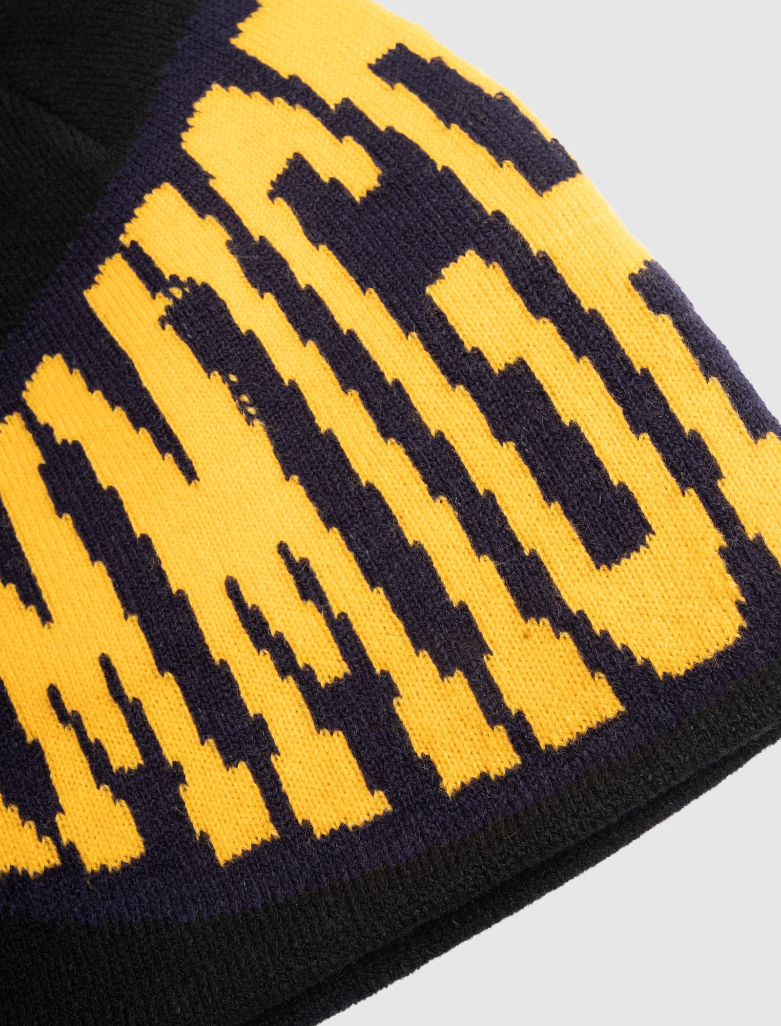 KIDS of Immigrants Beanie
