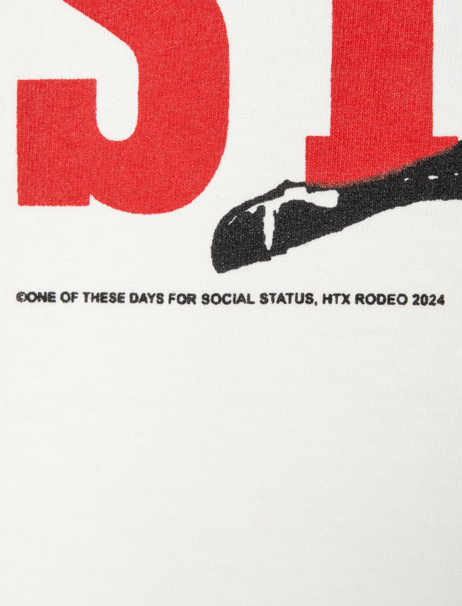 ONE of THESE DAYS SOCIAL STATUS HOUSTON RODEO T-Shirt