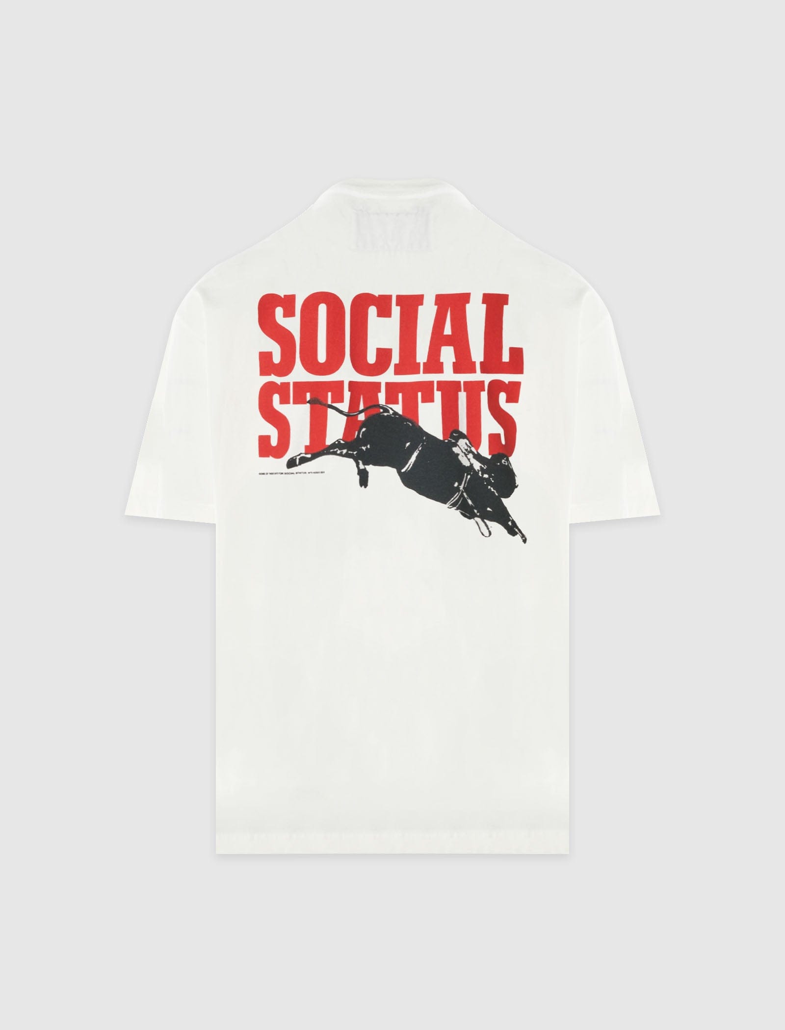 ONE of THESE DAYS SOCIAL STATUS HOUSTON RODEO T-Shirt