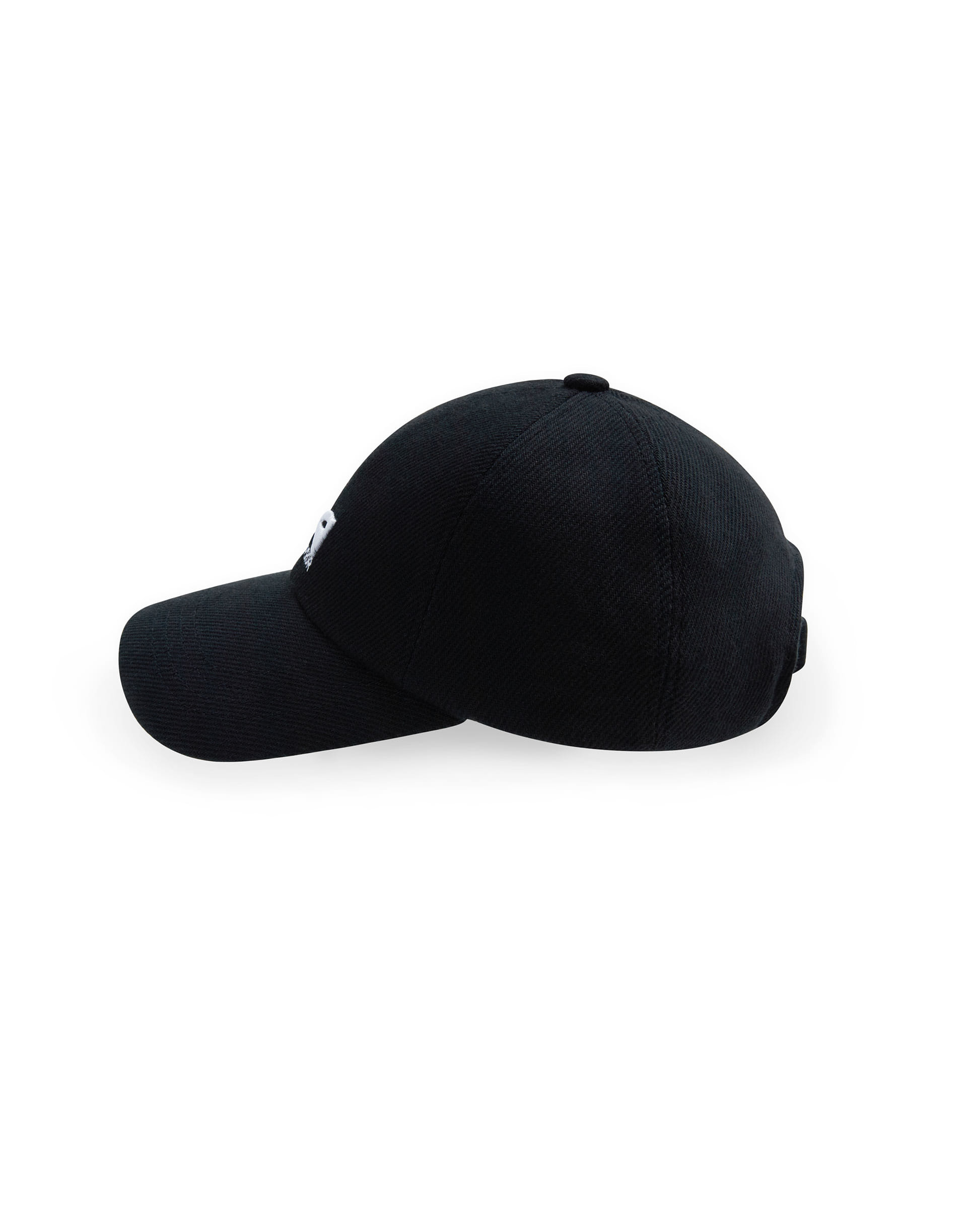 Logo Enty logo cap