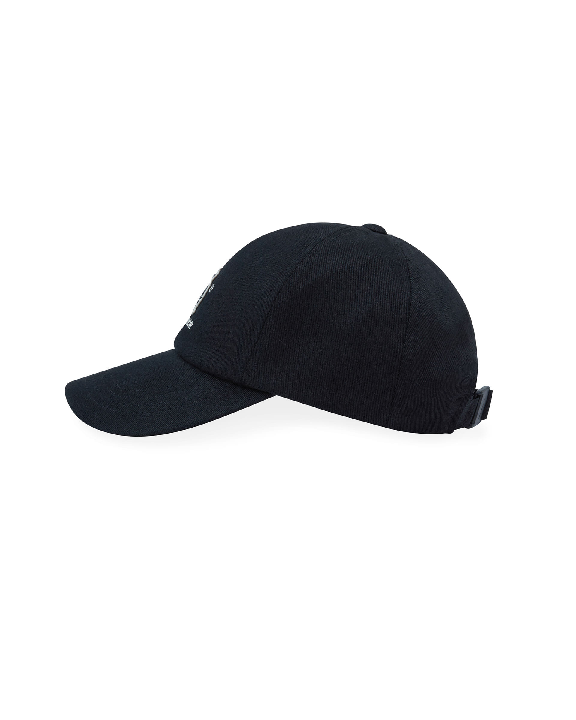 Logo Twinny logo cap