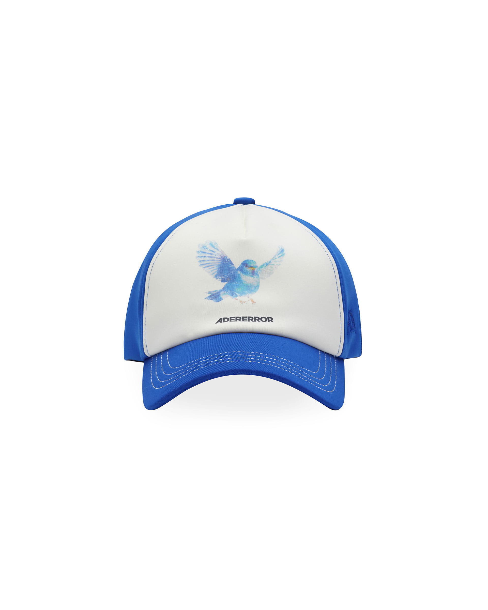 Blue bird cap