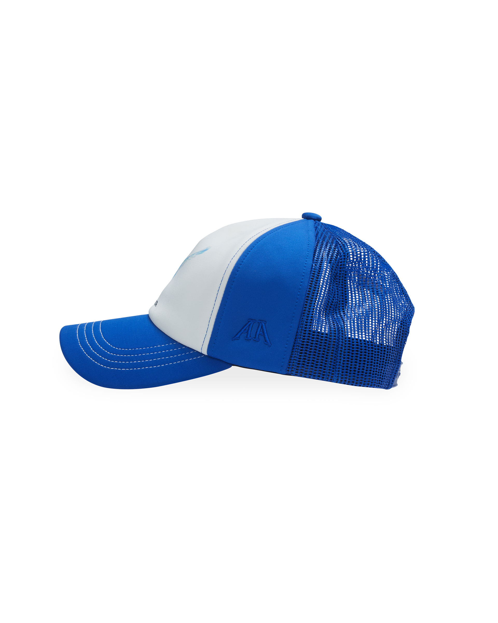 Blue bird cap