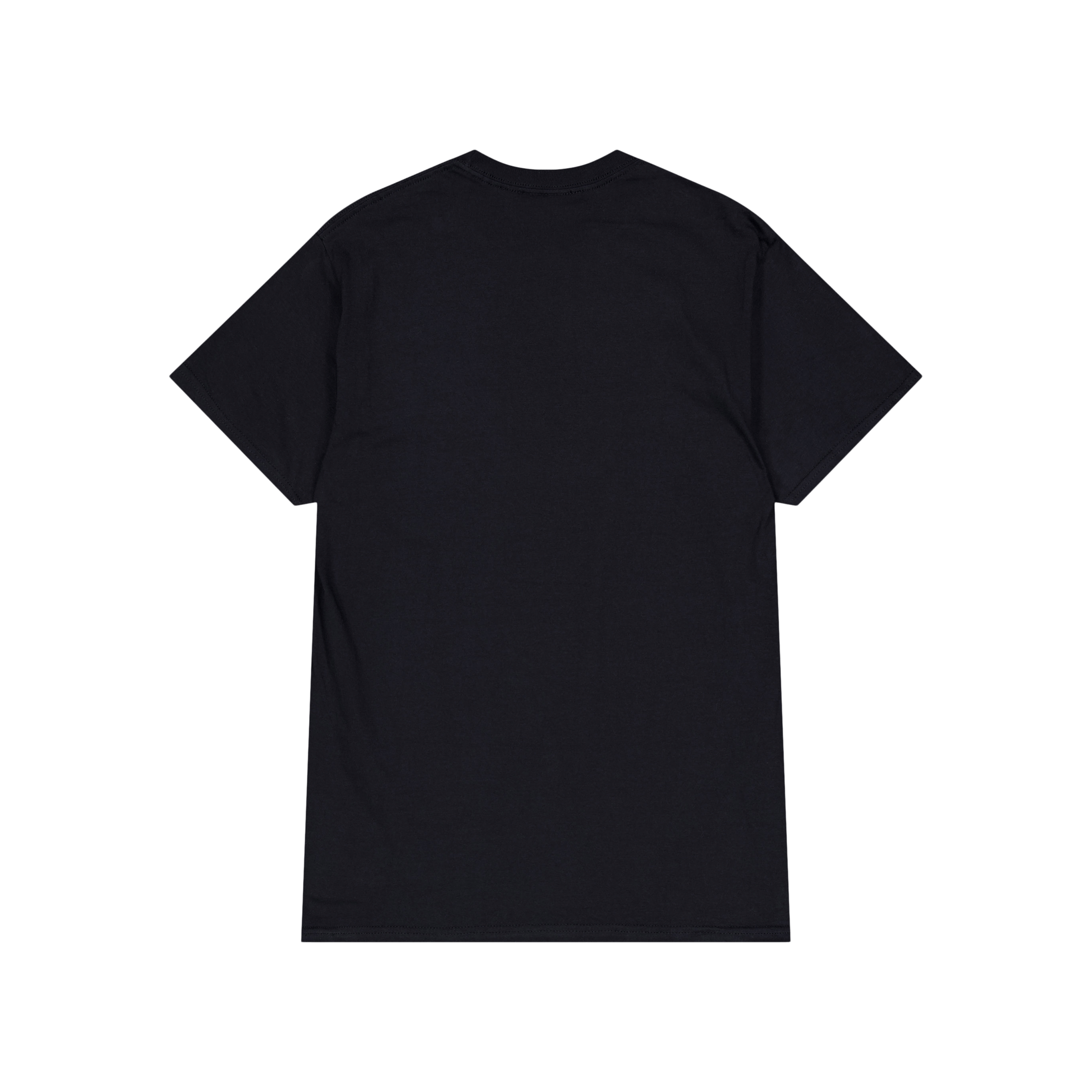Sci-Fi Fantasy Dead Roses T - shirt Black