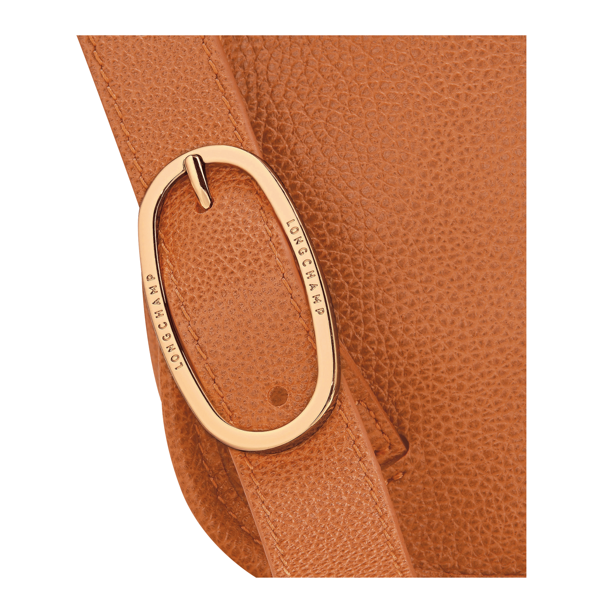 Long Champ Longchamp Le Foulonné M Backpack Amber