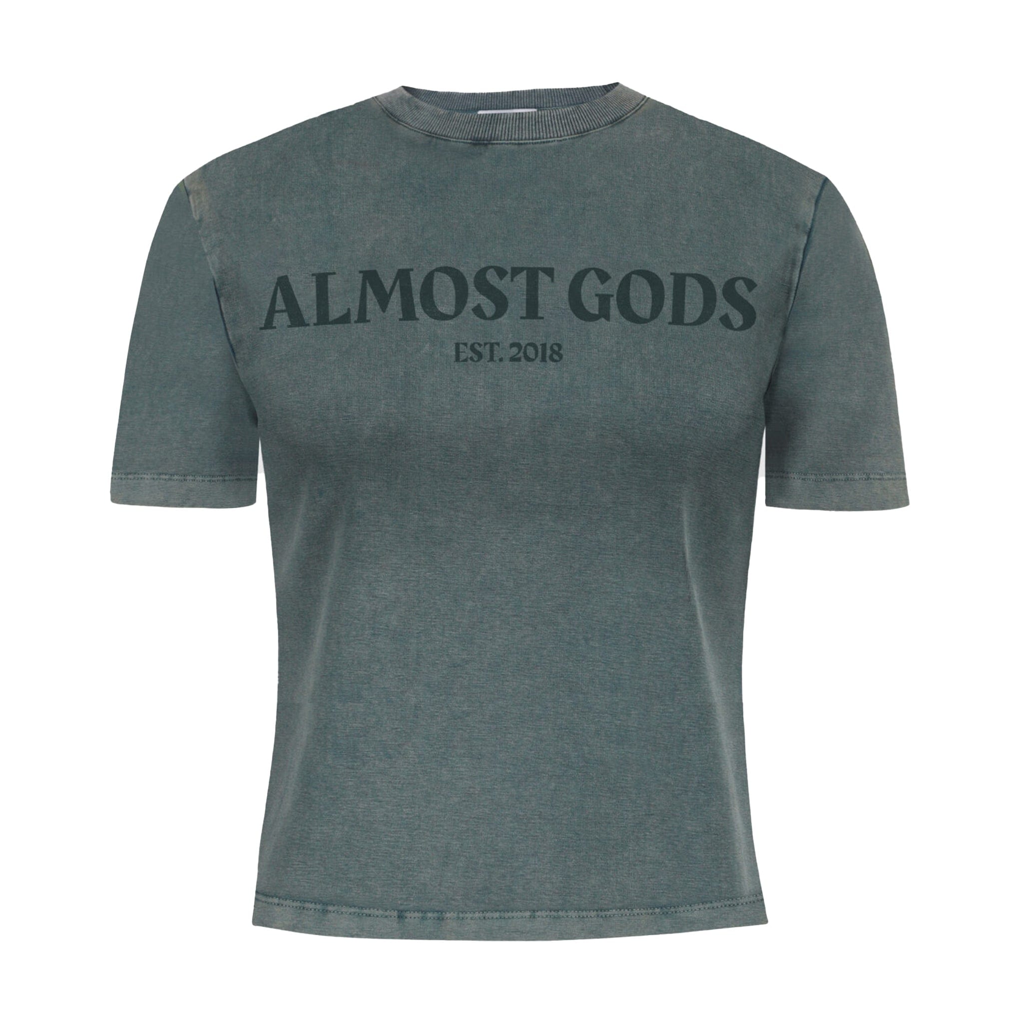 Almost Gods WOMEN'S STONEWASHED T-Shirt (GRANITE)