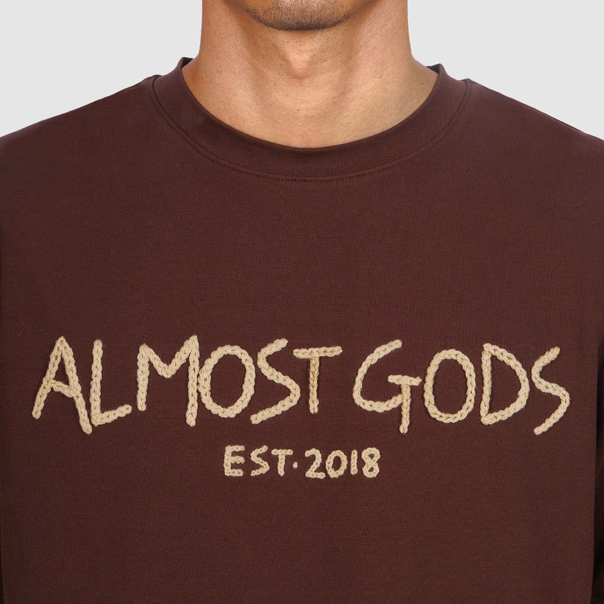 Almost Gods Hand Embroidered Aari T-Shirt (Brown)