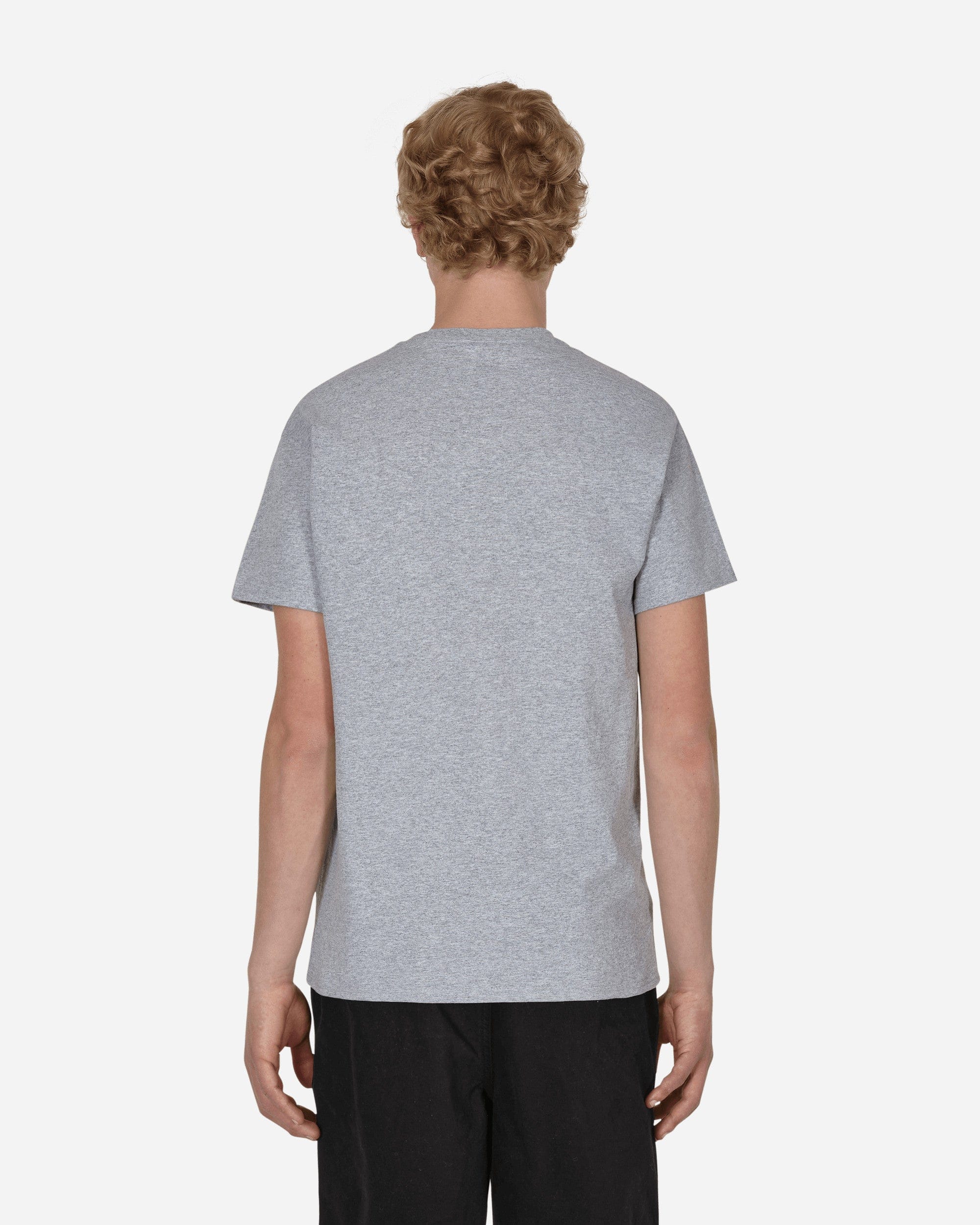 DCV'87 Rick James Bitch T - Shirt Grey