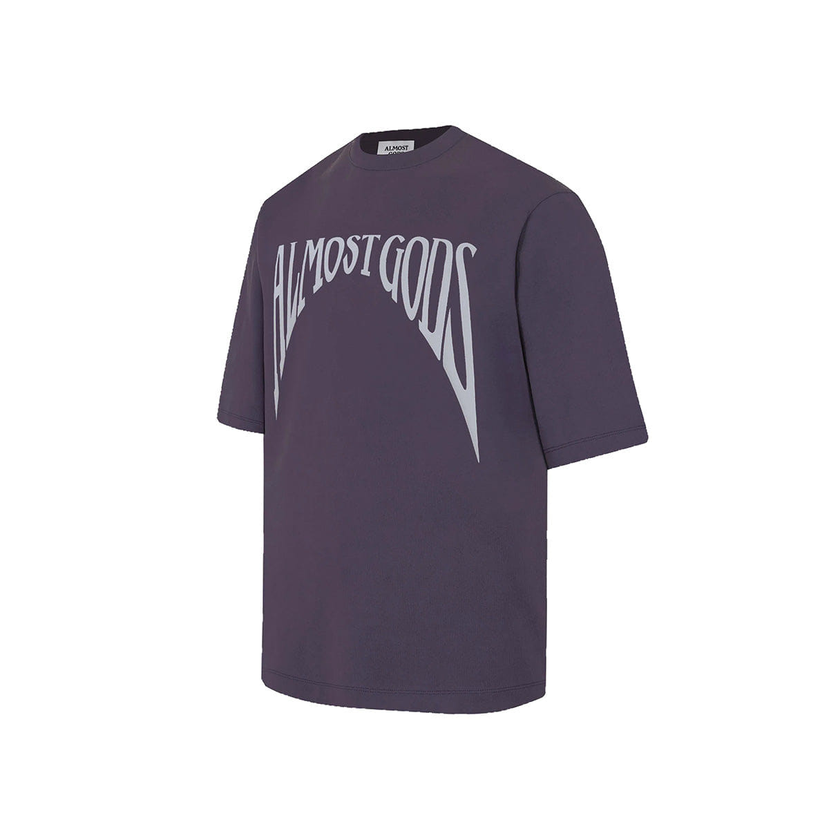 Almost Gods Gothic T-Shirt In Fig