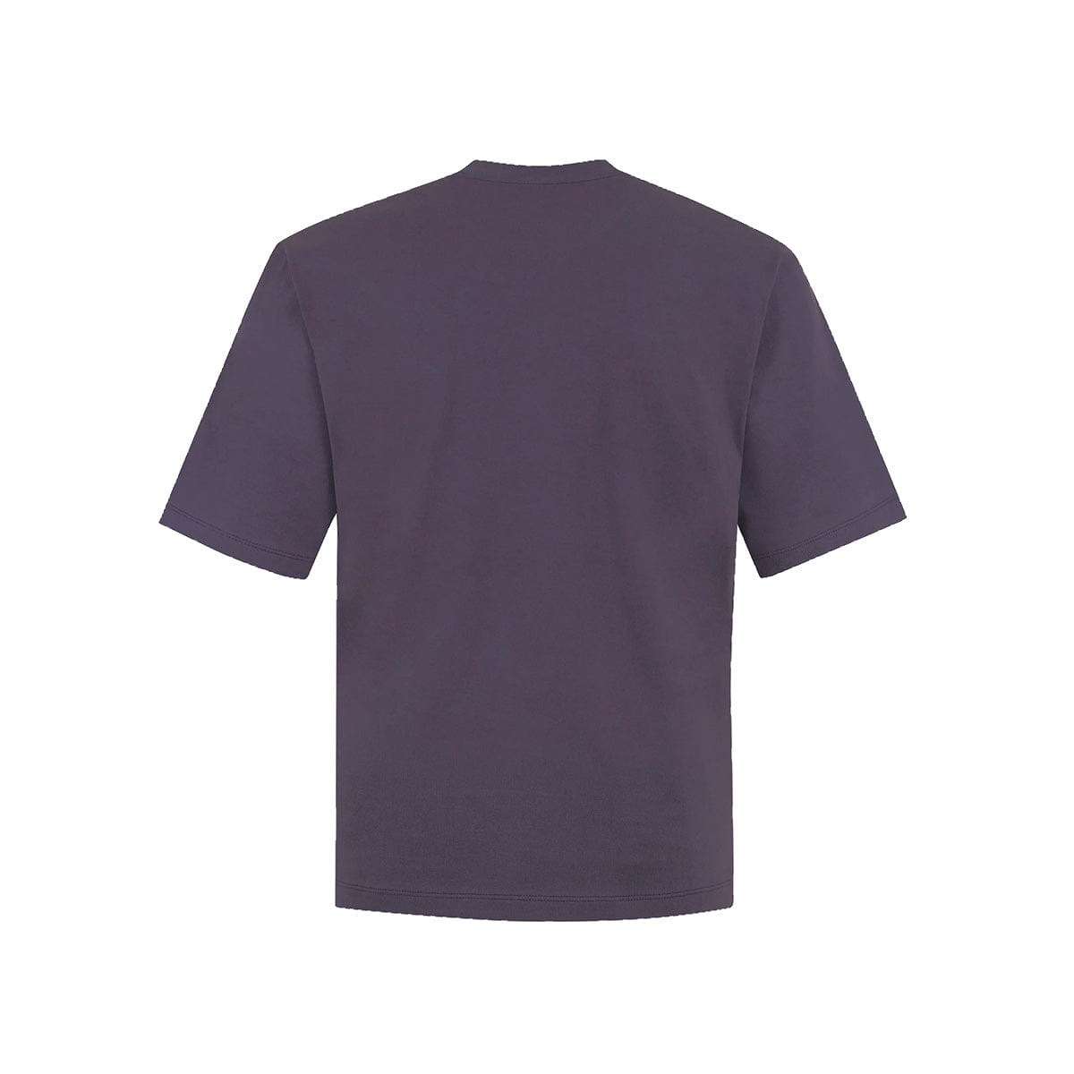 Almost Gods Gothic T-Shirt In Fig