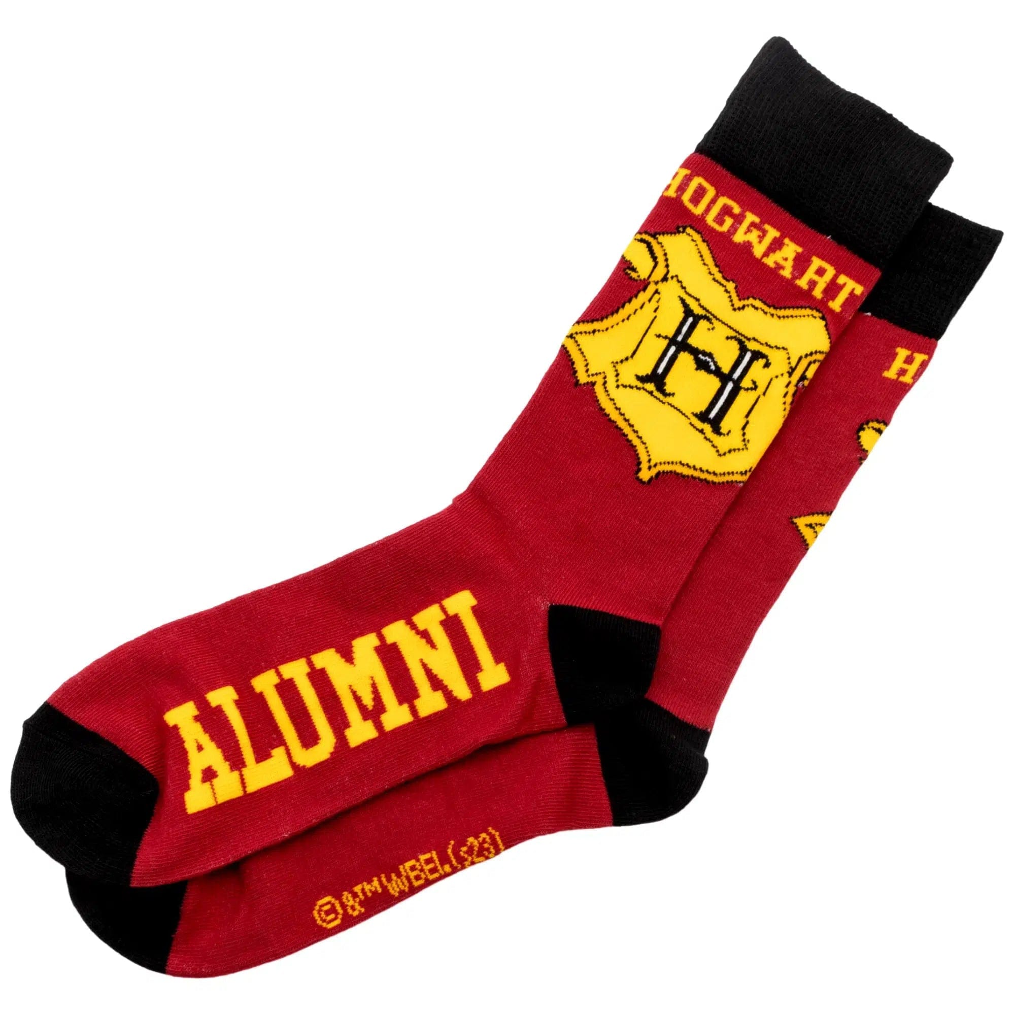 Culturefly Harry Potter - Hogwarts Stationery & Socks Gift Box Set - Culturefly - Notebook, Wand Pen, Crew Socks