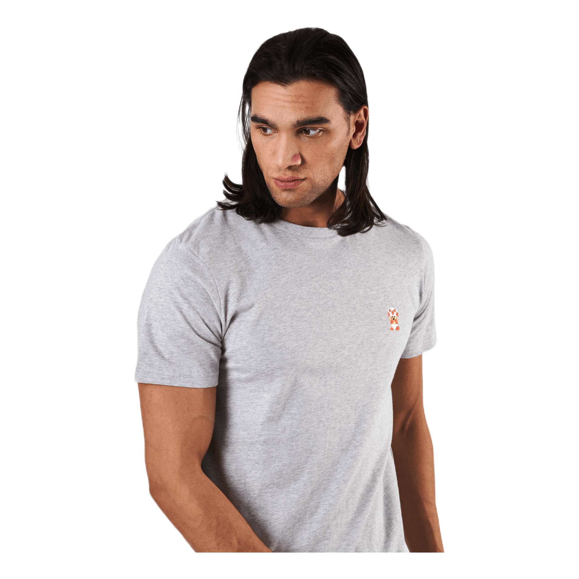 Dedicated T - shirt Stockholm Toad Grey Melange
