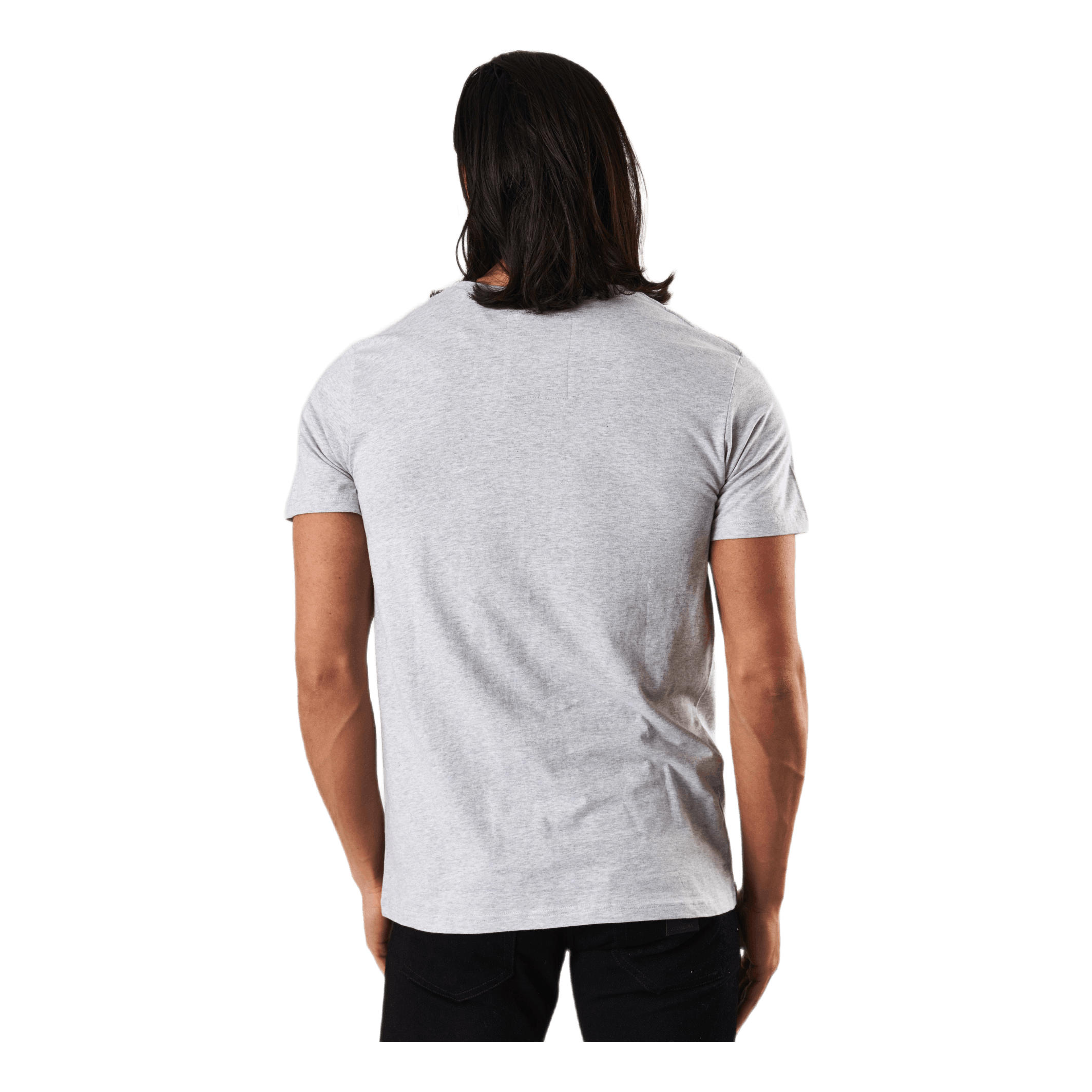 Dedicated T - shirt Stockholm Toad Grey Melange