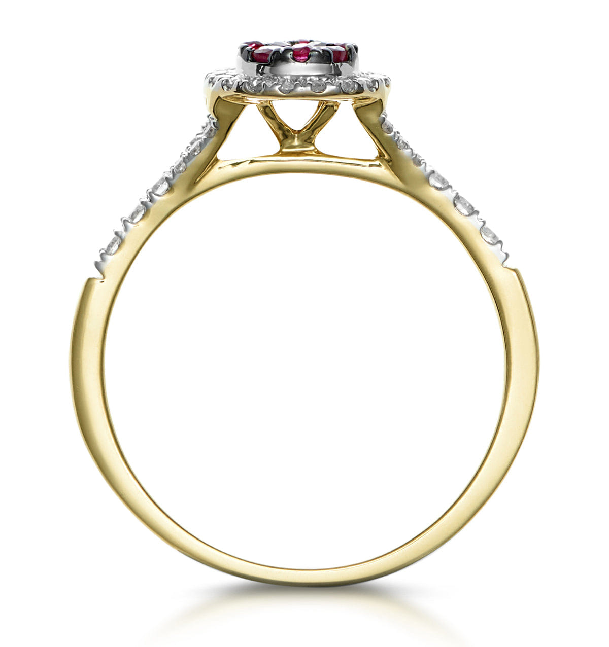 Diamond Ruby and Diamond Halo Circle Ring in 18K Gold - Asteria Collection