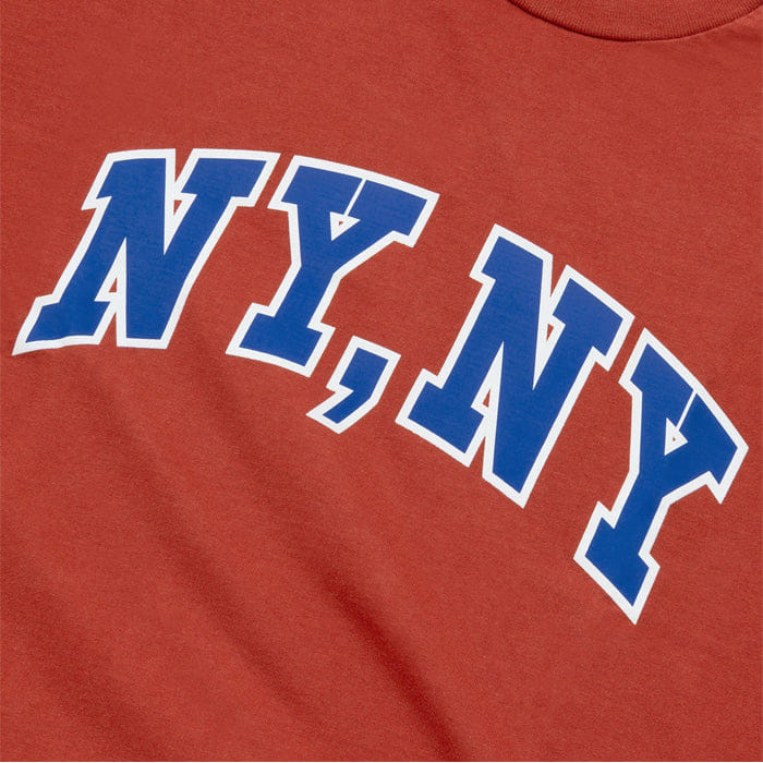 ONLY NY NY LONG SLEEVE T - SHIRT - RUST ORANGE