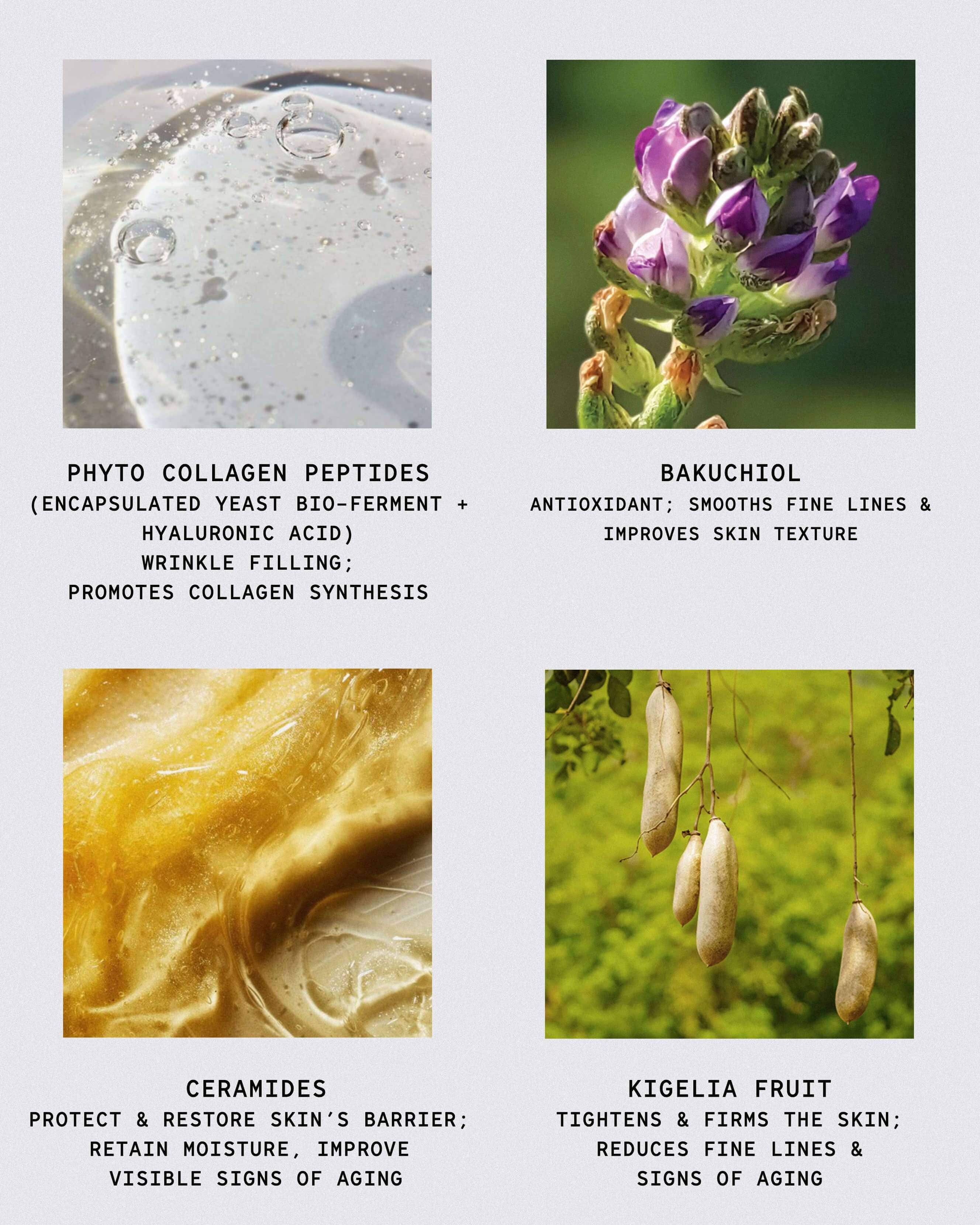 African Botanics Phyto - Collagen Restorative Cream