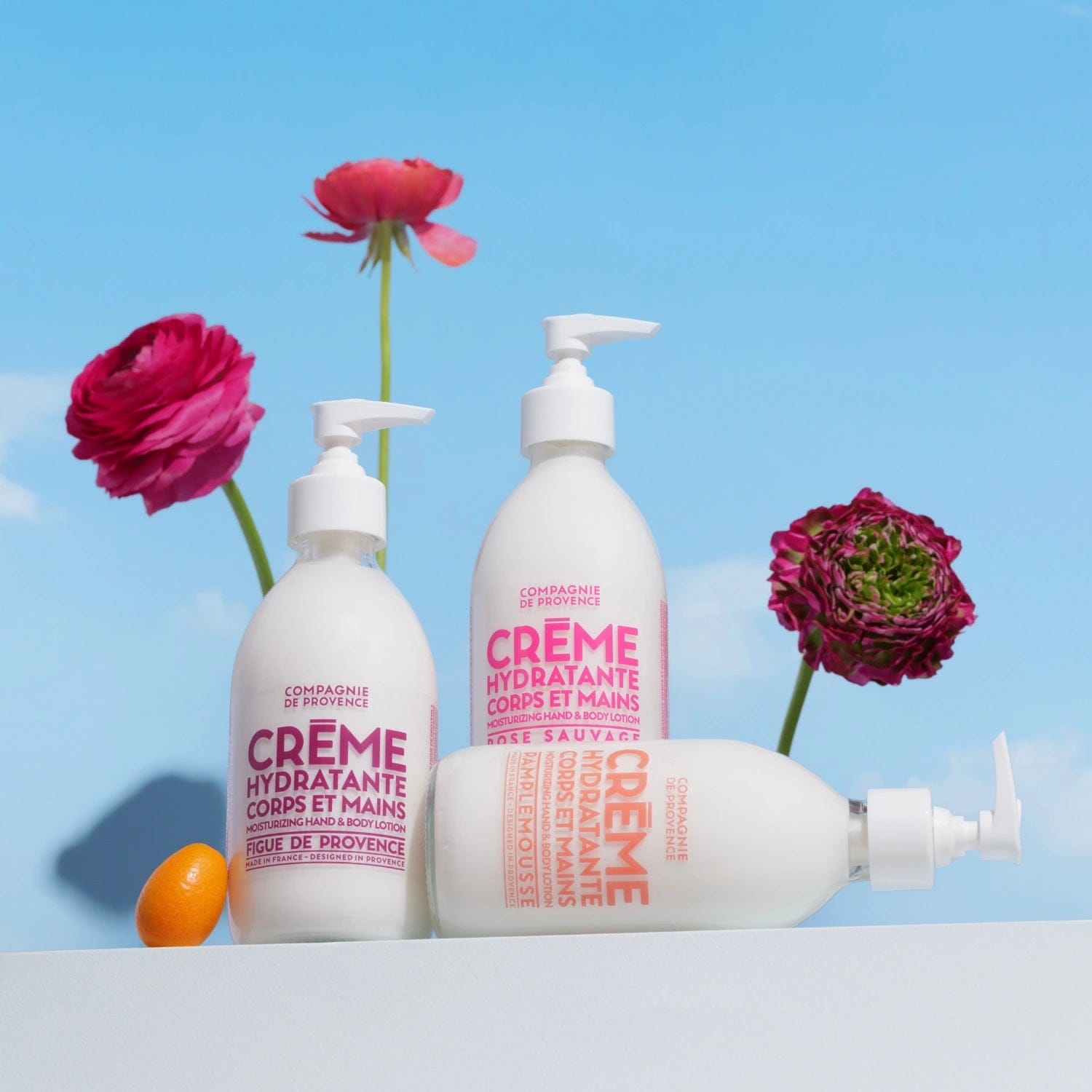 Compagnie de Provence Wild Rose Hand and Body Lotion