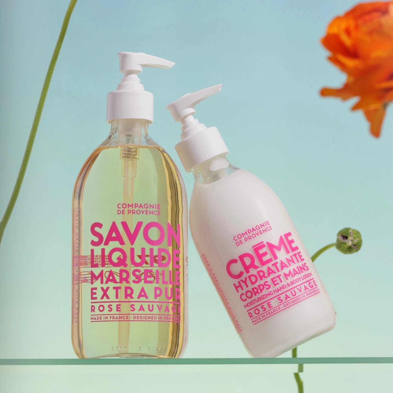 Compagnie de Provence Wild Rose Hand and Body Lotion