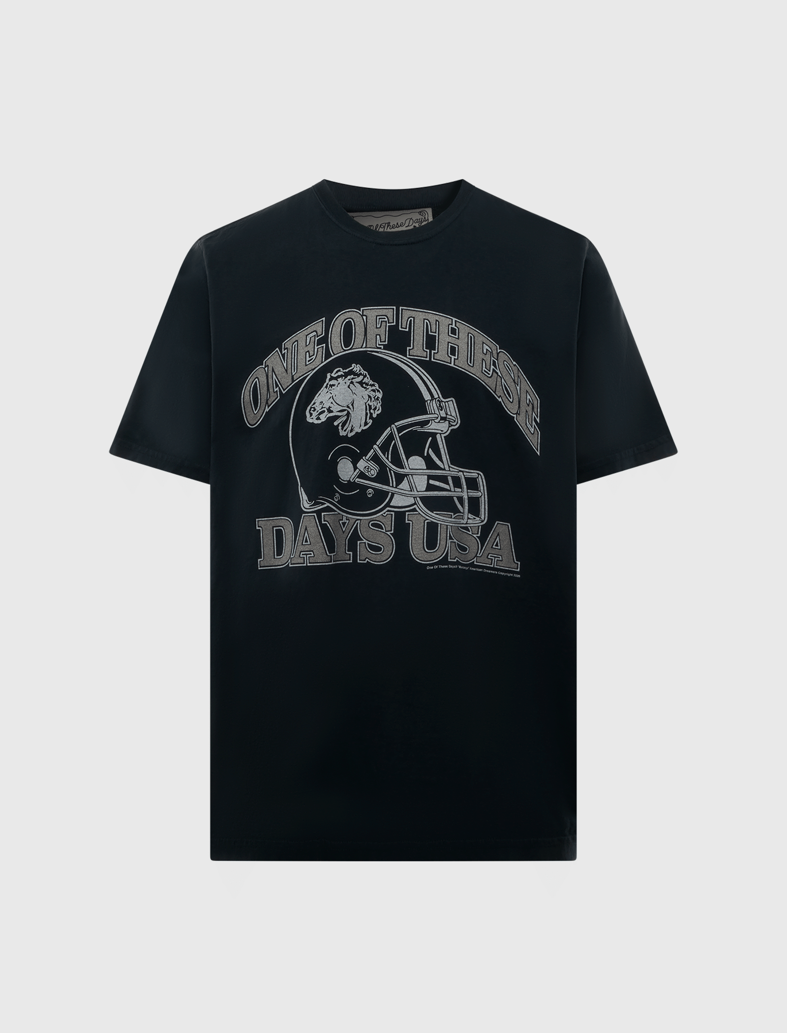 ONE of THESE DAYS DAYS USA T - SHIRT
