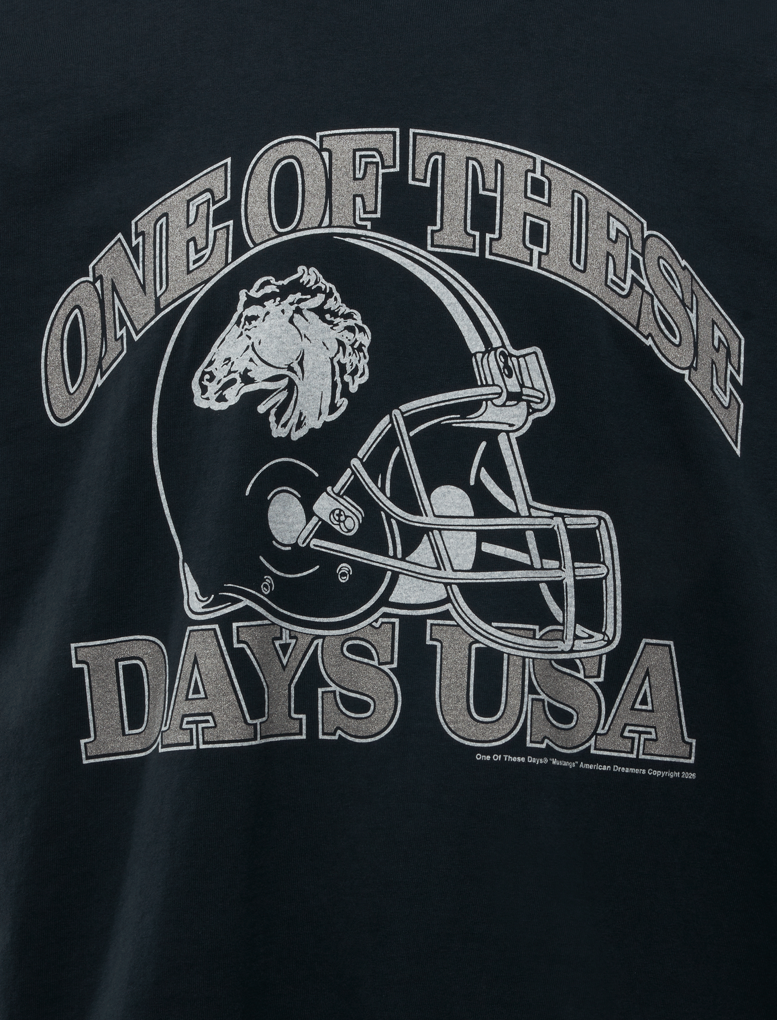 ONE of THESE DAYS DAYS USA T - SHIRT