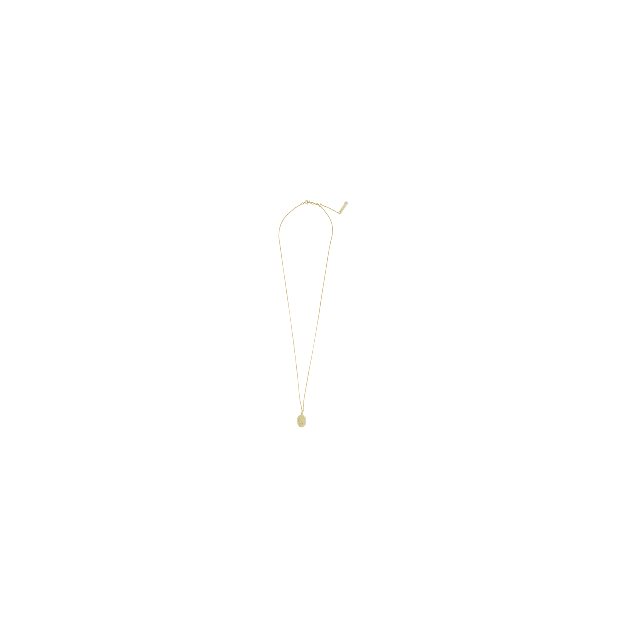 Aries Chain Necklace With Fly Paved Gold