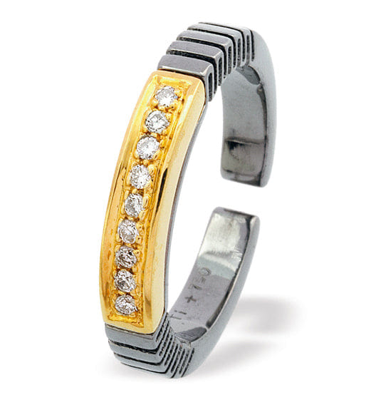 RING 18K Gold Titanium Ring