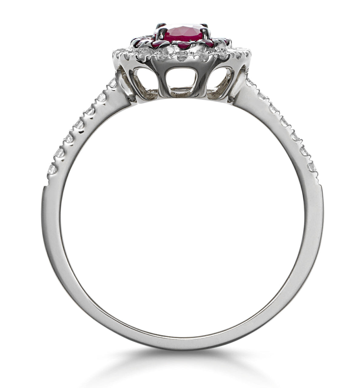 Diamond Ruby and Diamond Double Halo Ring 18K White Gold - Asteria Collection