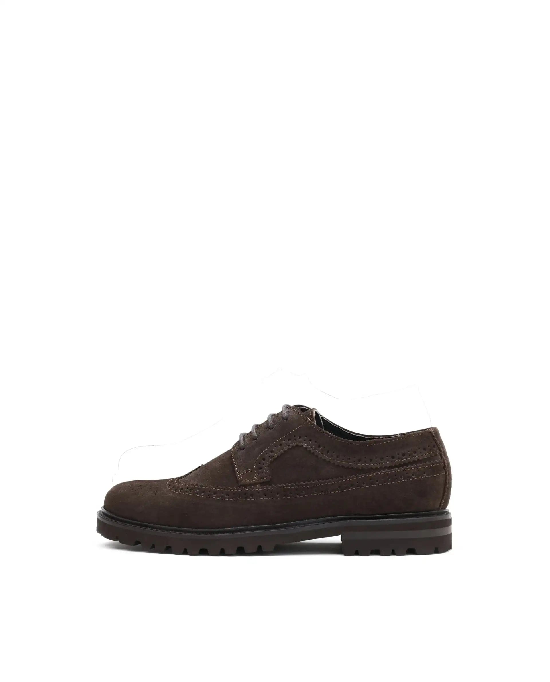 RAREZ Rare Rabbit Men Brix Coffee Suede Lace - Up Closure Shoes