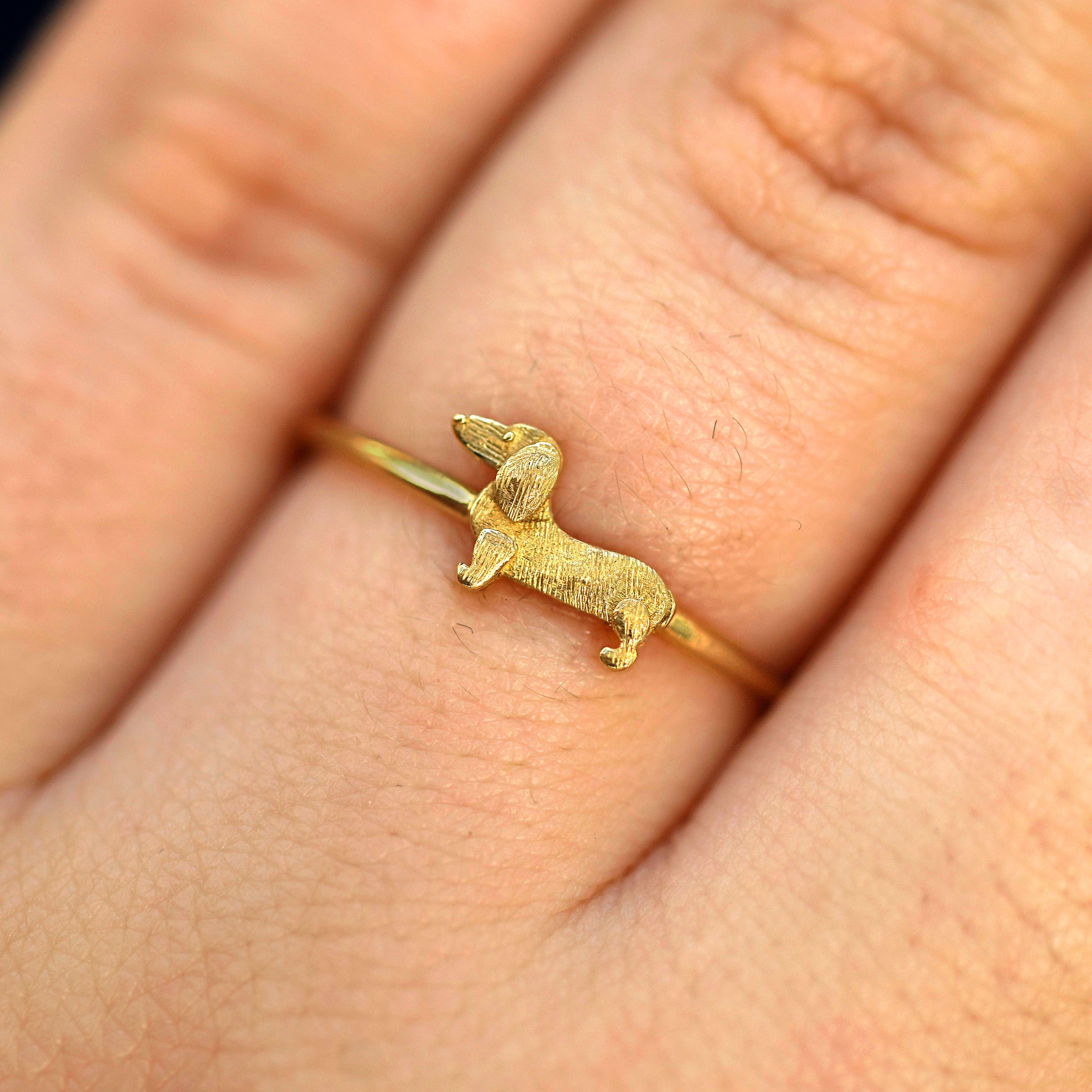Automic Gold Studio Dog Ring