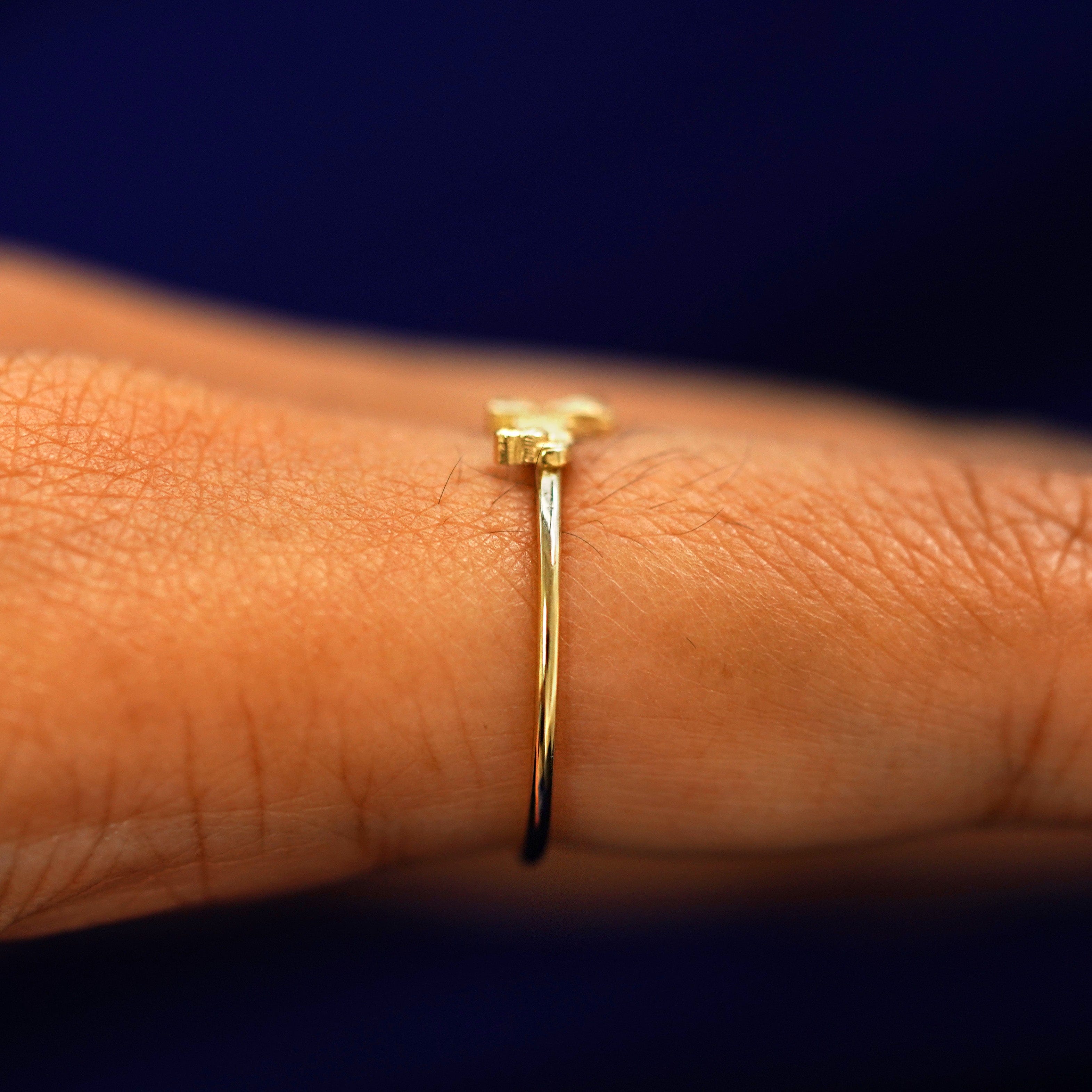 Automic Gold Studio Dog Ring