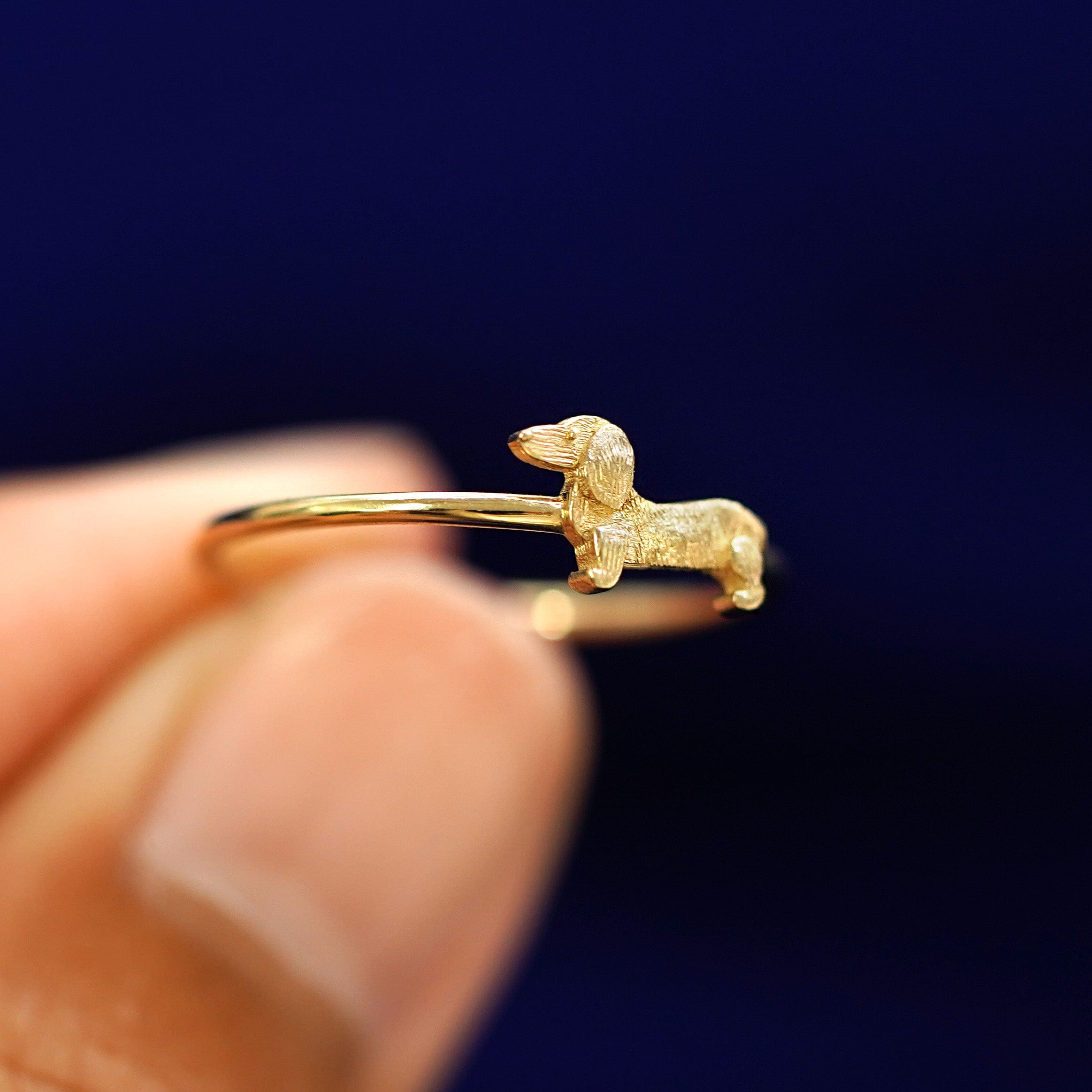 Automic Gold Studio Dog Ring