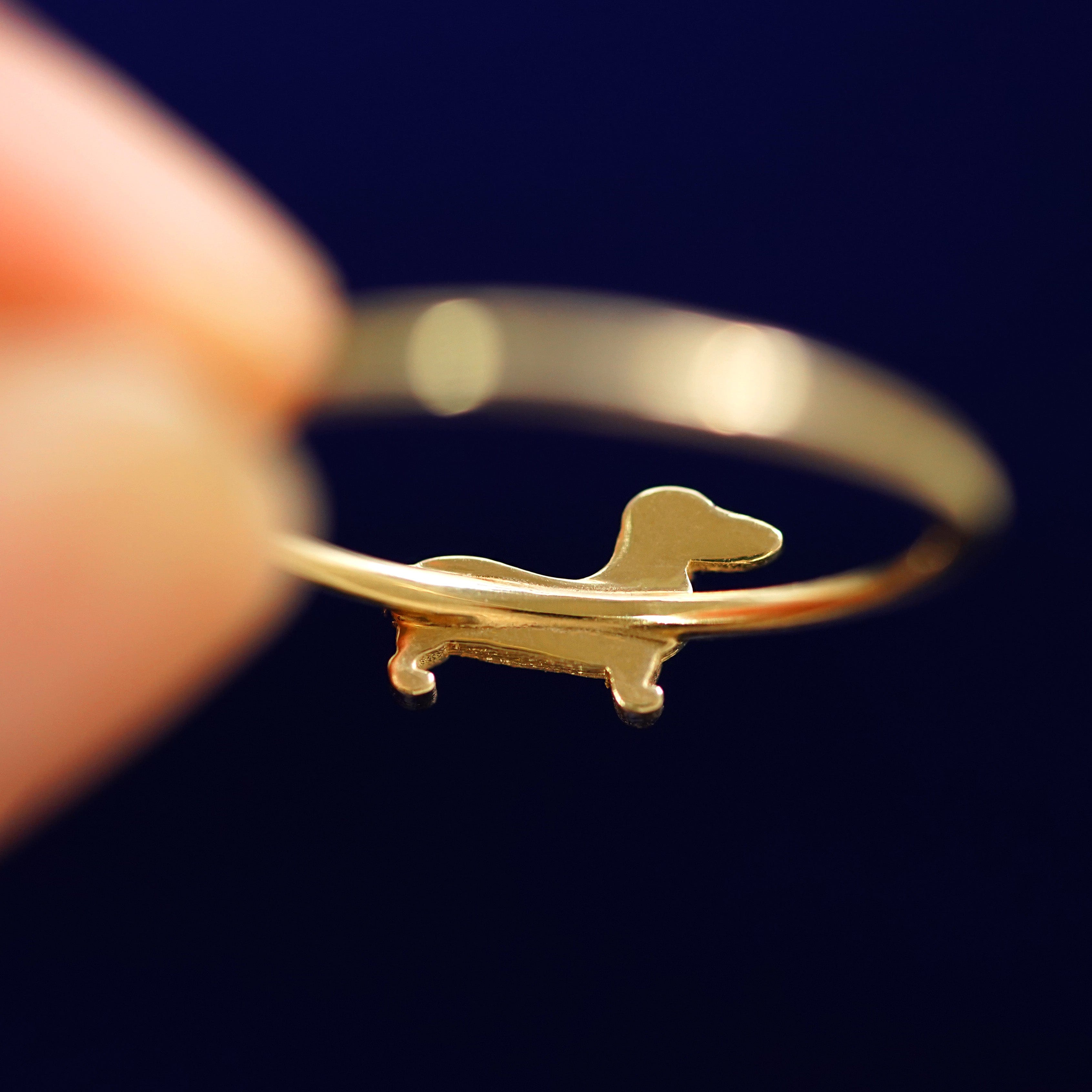 Automic Gold Studio Dog Ring